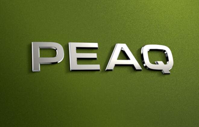 Logo Skoda Peaq media normal